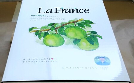 西洋梨（ラ・フランス）３ｋｇ以上×２箱　７Ｌサイズ　0017-2421