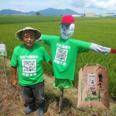 ふるさと納税 燕市 【令和7年産新米 先行予約】おかずのいらないコシヒカリ「つばめ返し」玄米 20kg |  | 01