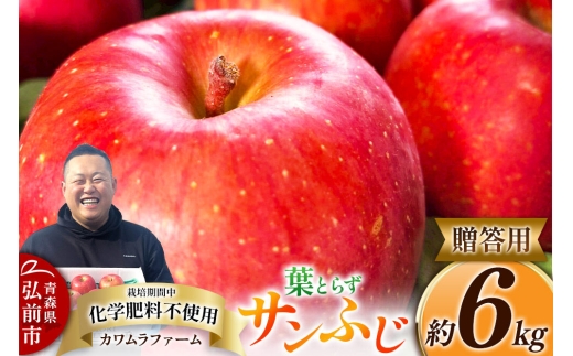 【寄附金額見直しました】りんご 葉とらず サンふじ 約6kg カワムラファーム 贈答用 青森 果物 フルーツ 林檎 リンゴ くだもの