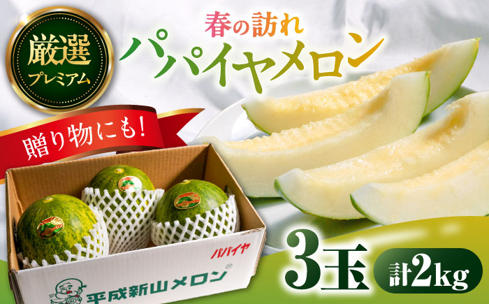 【2026年3月中旬~発送】【平成新山PREMIUM（とみちゃん厳選）】パパイヤメロン 3玉 / 果物 フルーツ / 南島原市 [SAD001]