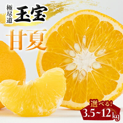 【ふるさと納税】【愛媛名産】玉宝甘夏　3.5kg/6kg/12kg【G1621818】_ みかん 甘夏 あまなつ 甘夏みかん 玉宝 愛媛のみかん 柑橘 果物 くだもの フルーツ デザート おやつ 美味しい マーマレード ジャム おすすめ 愛媛 愛媛県 八幡浜市 人気 送料無料 【G1621818】