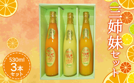 
三姉妹 ジュース 計1.59L（530ml×3本セット）吉田果樹園
