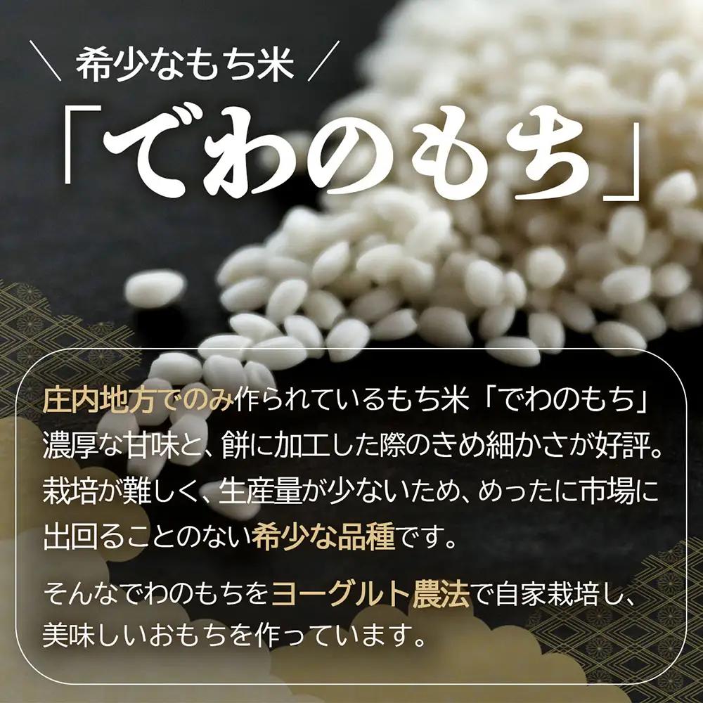 【R8.11月発送】庄内町産 杵つき餅 380g×36袋 約13kg『特別栽培米 でわのもち』使用 先行受付 柔らかく よく伸びる 個包装 小さめ 自家栽培 でわのもち ヨーグルト農法 杵つき 丸もち