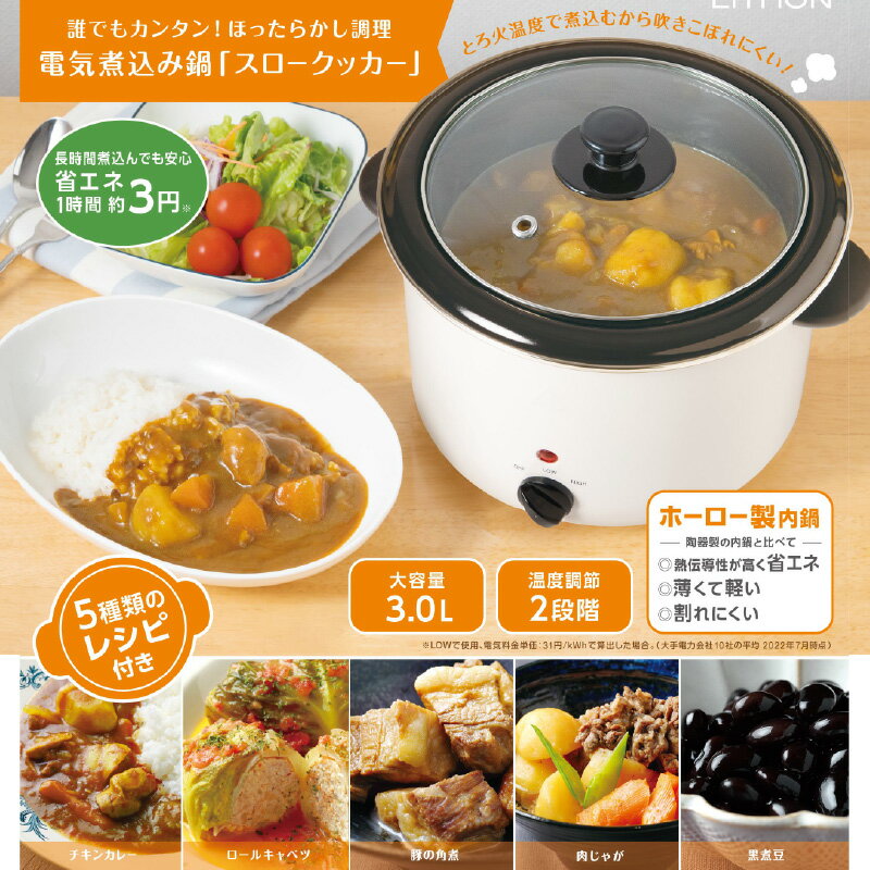 【ふるさと納税】電気煮込み鍋「スロークッカー 」3.0L - 火を使わず簡単に本格煮込み料理が作れる【 鍋 煮込み鍋 電気調理器 軽量 ホーロー鍋 卓上調理 便利 キッチン家電 お手入れ簡単 生活家電 雑貨家電 送料無料】
