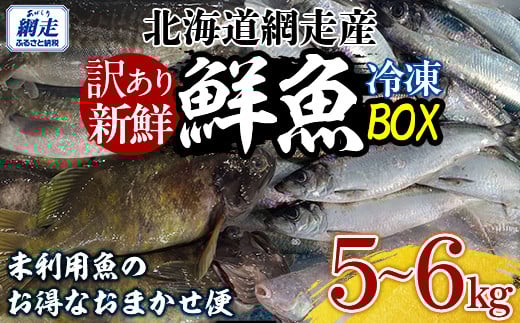 
                  【先行予約】【訳あり】網走産冷凍鮮魚BOX～未利用魚の有効活用（漁業生産者応援企画）～【令和8年4月より順次発送】【 ふるさと納税 人気 おすすめ ランキング 水たこ やなぎたこ 真たら すけそうたら にしん かれい しじみ ほっけ そい類 ほたて さけ 豪かに オホーツク 鮮魚 セット 詰合せ 生産者応援 北海道 網走市 送料無料 】 ABAE011
                