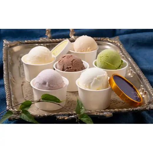 佐世保ジェラート SaSa 詰め合わせセット 【サイエンスパティスリーササ】ミルク ゆめのかいちご お茶 チョコレート きなこ 黒蜜 アイスジェラート 人気