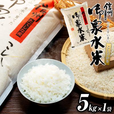 ふるさと納税 立科町 【令和8年産米】 信州たてしな産 御泉水米こしひかり5kg