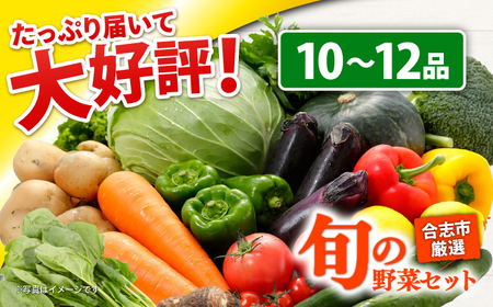 合志の旬のお野菜セット 10~12品 野菜 野菜 野菜 野菜 野菜 野菜 [AYAB008] 