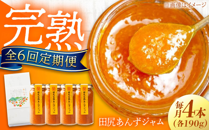 【全6回定期便】 ジャム 田尻完熟あんずジャム (4本)　 ジャム 果物 あんず パン 甘い 菓子 朝ごはん 広島県福山市/有限会社勉強堂 [BAFL009]