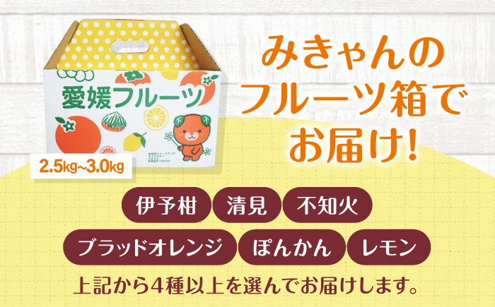 柑橘セット みかん 愛媛みかん 果物セット 食べ比べ 果物 旬 季節 伊予柑 清見 不知火 ブラッドオレンジ ぽんかん・レモン