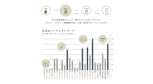 もっちりブラウンライス（寝かせ玄米※） 30食ミックスセット