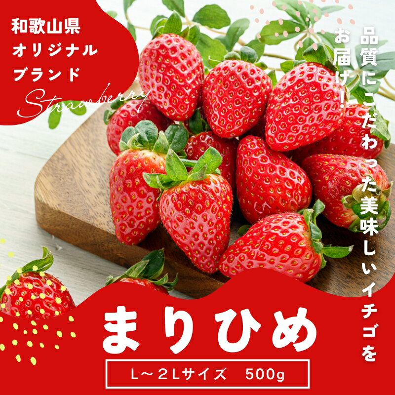 【ふるさと納税】まりひめイチゴ L～2L 12粒～15粒×2パック【2026年1月中旬から発送】【先行予約】【KG7】 | 苺 イチゴ いちご フルーツ 果物 くだもの 食品 人気 おすすめ 送料無料