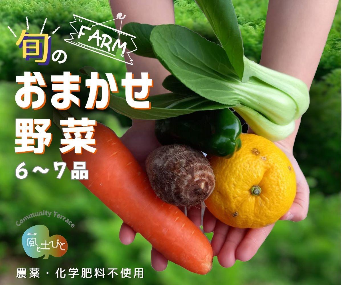 【ふるさと納税】旬の お野菜 おまかせセット 6～7品 ( 農薬・化学肥料不使用 )　野菜 やさい 詰め合わせ 新鮮 季節