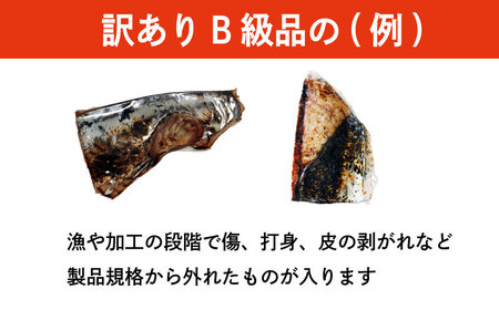 B級品 訳あり かつおのたたき 3kg 10000円 フードロス 削減 打ち身 皮はげ 傷 かつお サイズ 不揃い 規格外 小分け 真空 パック 鮮魚 天然 鰹 四国一 水揚げ タタキ 冷凍 大容量 