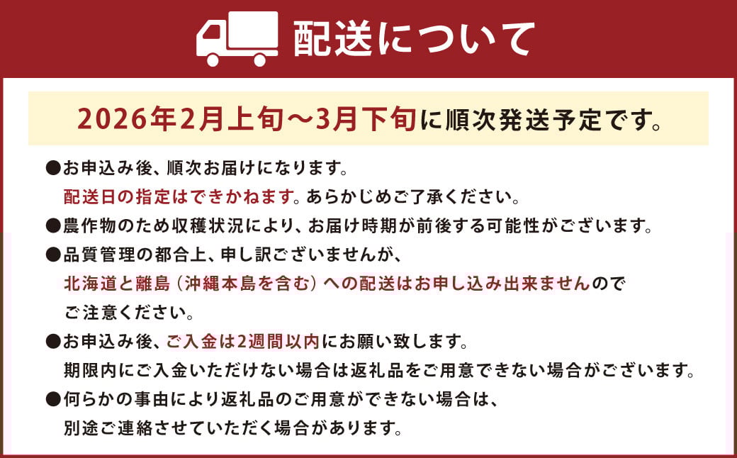 福岡産【春】あまおう4パック 