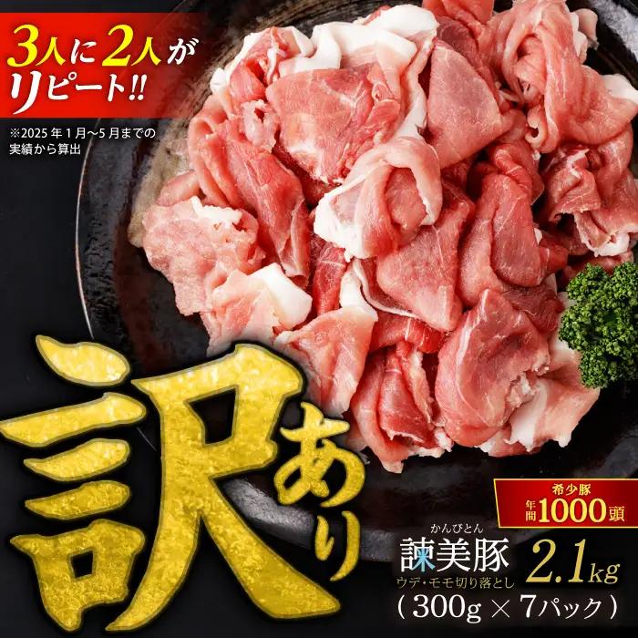 【訳あり】諫美豚切り落とし 2.1kg 豚切り落とし AHAD063