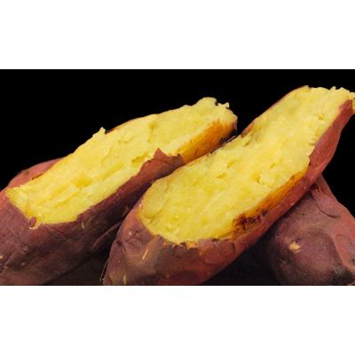 ふるさと納税 行方市 「JAの冷凍焼き芋」(日本農業賞「大賞」・『天皇杯』栄冠)とニラたっぷり「肉餃子」セット |  | 02