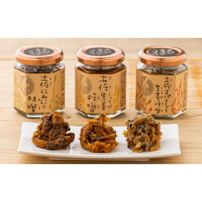 ふるさと納税 高知県 土佐山畑しごと味噌【B06039】