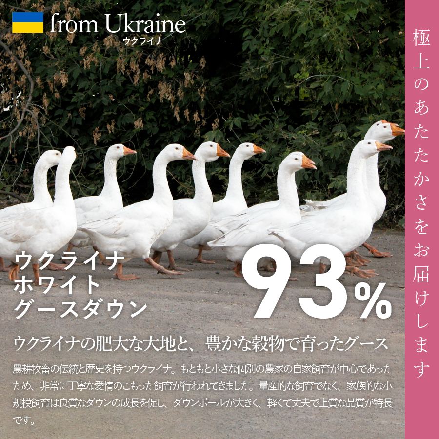 【甲州羽毛肌掛けふとん】ウクライナホワイトグース93%超長綿 ホワイト（ダブル) ふとんカバー付