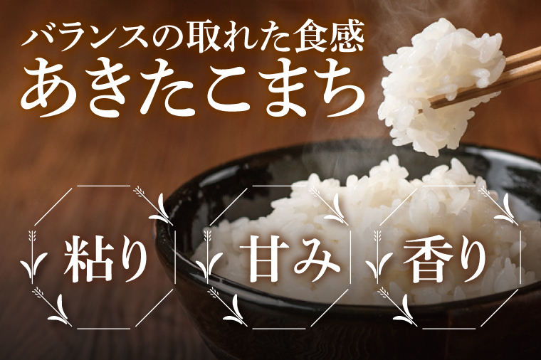 【先行予約】【3ヶ月定期便】令和7年産 茨城県産あきたこまち　精米　5kg【お米 米 ごはん 茨城県】（85-41）