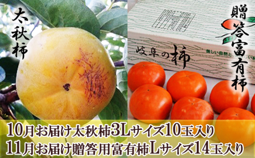 【オンライン決済限定】［柿食べ比べセット］太秋柿  3L 10玉＆贈答富有柿 14玉 果物類 果物 かき カキ 贈答用 フルーツ