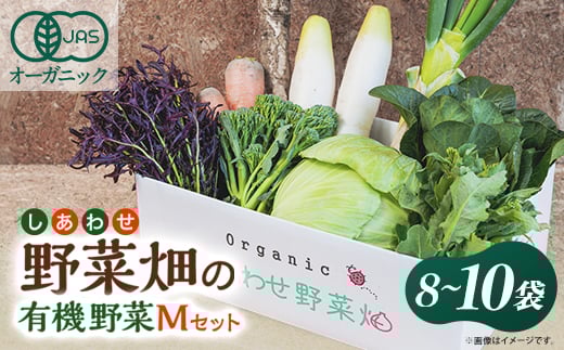 
            しあわせ野菜畑の有機野菜　Mセット　(安心の有機JAS認証　旬のオーガニック野菜　農場直送便)【1493464】
          