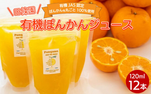 
ぽんかん ジュース 120ml 12個 オーガニック 無農薬 防腐剤 不使用 田條園 シャーベット 高知県 須崎市 柑橘 蜜柑 みかん オレンジ フルーツ 果物 お取り寄せ 家庭用 高知県 須崎市
