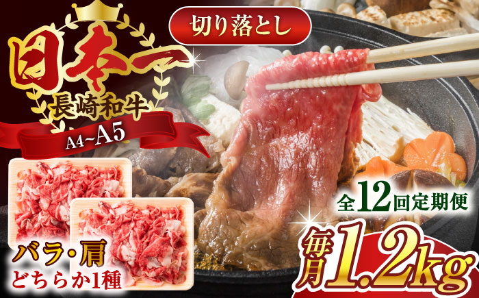 
                  【全12回定期便】【A4～A5】長崎和牛切り落とし　1.2kg(600g×2p）【株式会社 MEAT PLUS】 [QBS053] 牛肉 肉 国産 切り落し  切りおとし きりおとし 切落とし 和牛 小分け 和食 洋食 カレー 厳選 九州 焼肉 カレー ビーフシチュー 和牛 牛丼 / 長崎県 佐々町
                