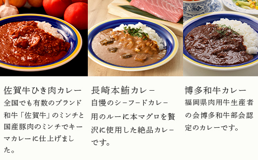 九州ご当地カレー佐賀牛ひき肉カレー180g×4、博多和牛カレー、長崎本鮪カレー、黒豚ポークソテーカレー、古処鶏和風カレー各180g×2(合計2.16kg)「2024年 令和6年」