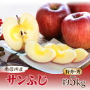 【ふるさと納税】【南信州産】サンふじ　約5kg　特秀・秀_ りんご リンゴ ふじ サンふじ さんふじ 長野県産 信州 林檎 国産 果物 フルーツ くだもの ふるーつ 10～20玉 甘い ジューシー デザート おやつ 産地直送 贈答 贈り物 ギフト プレゼント 送料無料 【1301136】