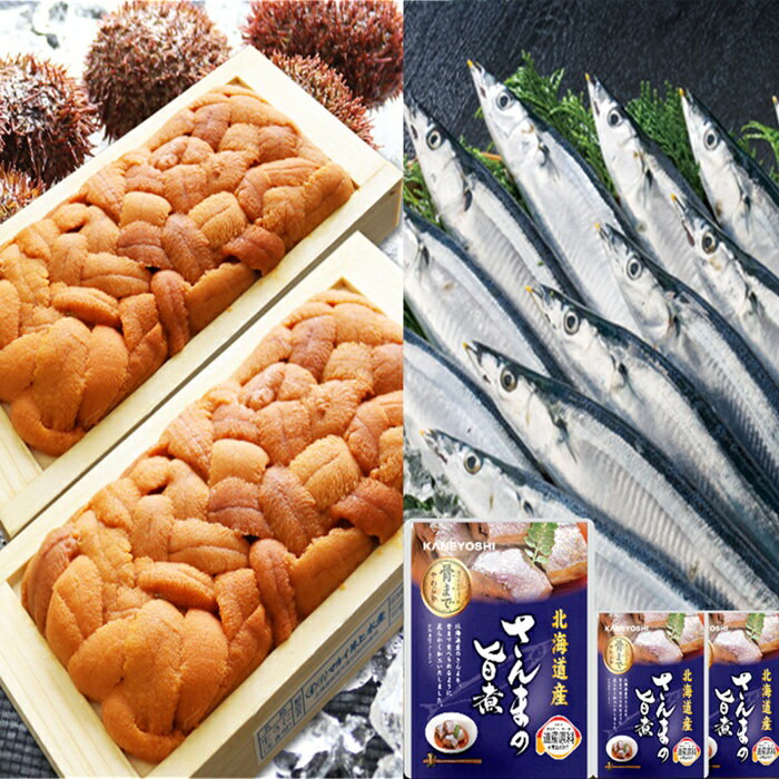 【ふるさと納税】エゾバフンウニ約100g×2折・さんま旨煮×3P[10月下旬以降発送] F-71017
