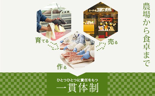 【B03001】南州農場　黒豚しゃぶしゃぶ詰合せ_イメージ2