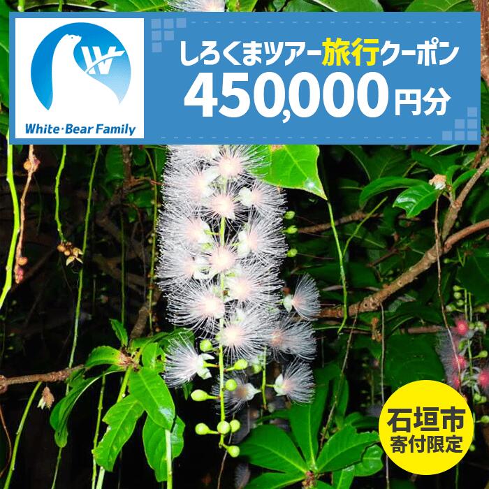 【ふるさと納税】【石垣市】しろくまツアーで利用可能なWEB旅行クーポン(45万円分） | 旅行 チケット 紙券 宿泊 宿泊券 宿 観光 クーポン ホテル 飛行機 交通費 観光施設 体験 トラベルクーポン 沖縄県 石垣市 石垣島 送料無料 人気 WB-13