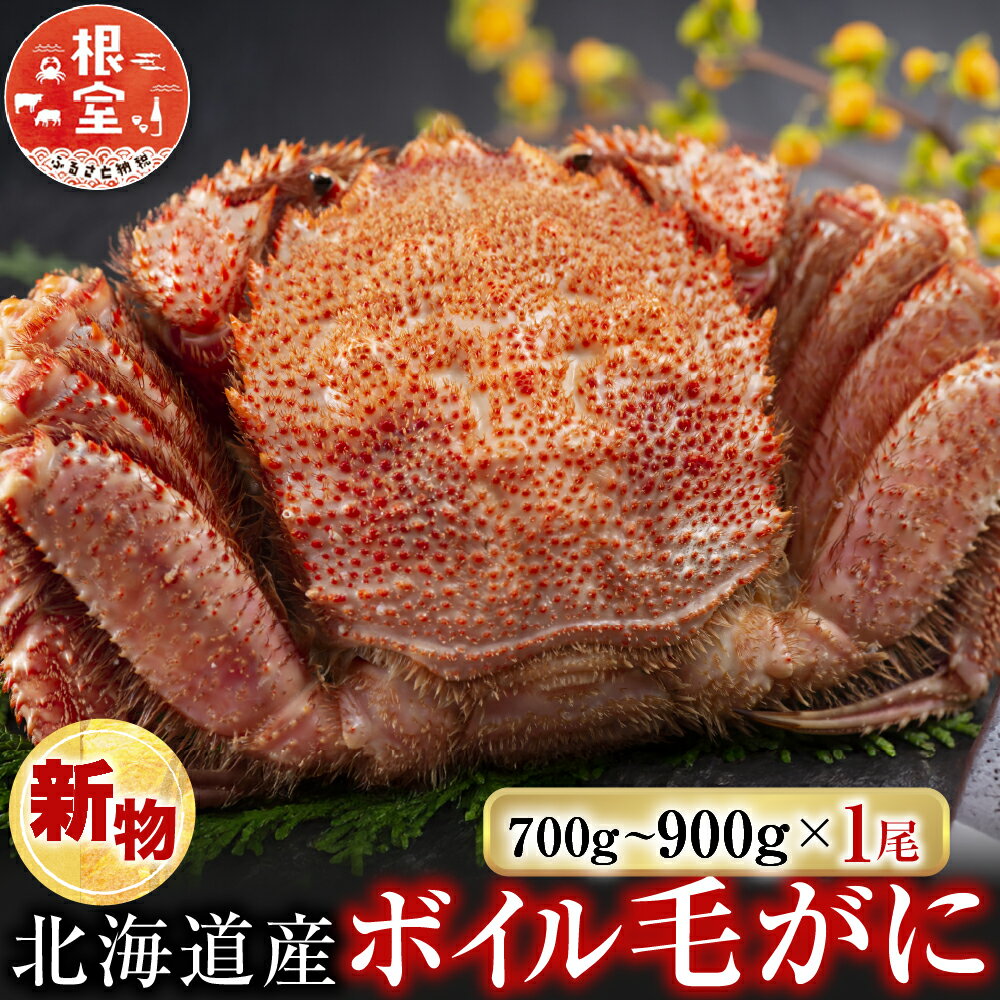 【ふるさと納税】根室海鮮市場＜直送＞ボイル毛がに700～900g×1尾 C-28060