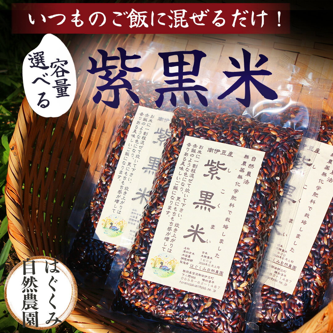 【ふるさと納税】 完全無農薬 選べる紫黒米 3袋 6袋 はぐくみ農園 米 紫黒 紫黒米 黒紫米 黒米 古代米 玄米 もち米 雑穀 健康 健康食 無農薬 化学肥料不使用
