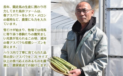 北海道浦河町の鳥井ファームが丹精込めて育てた春アスパラです。