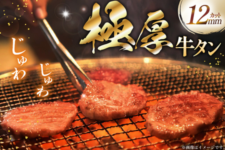 極厚 牛タン ステーキ 400g 2p 計800g