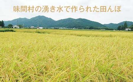 令和６年産　丹波篠山産　特Aランク　湧水米（わきみずまい）5ｋｇ×2袋 Y110
