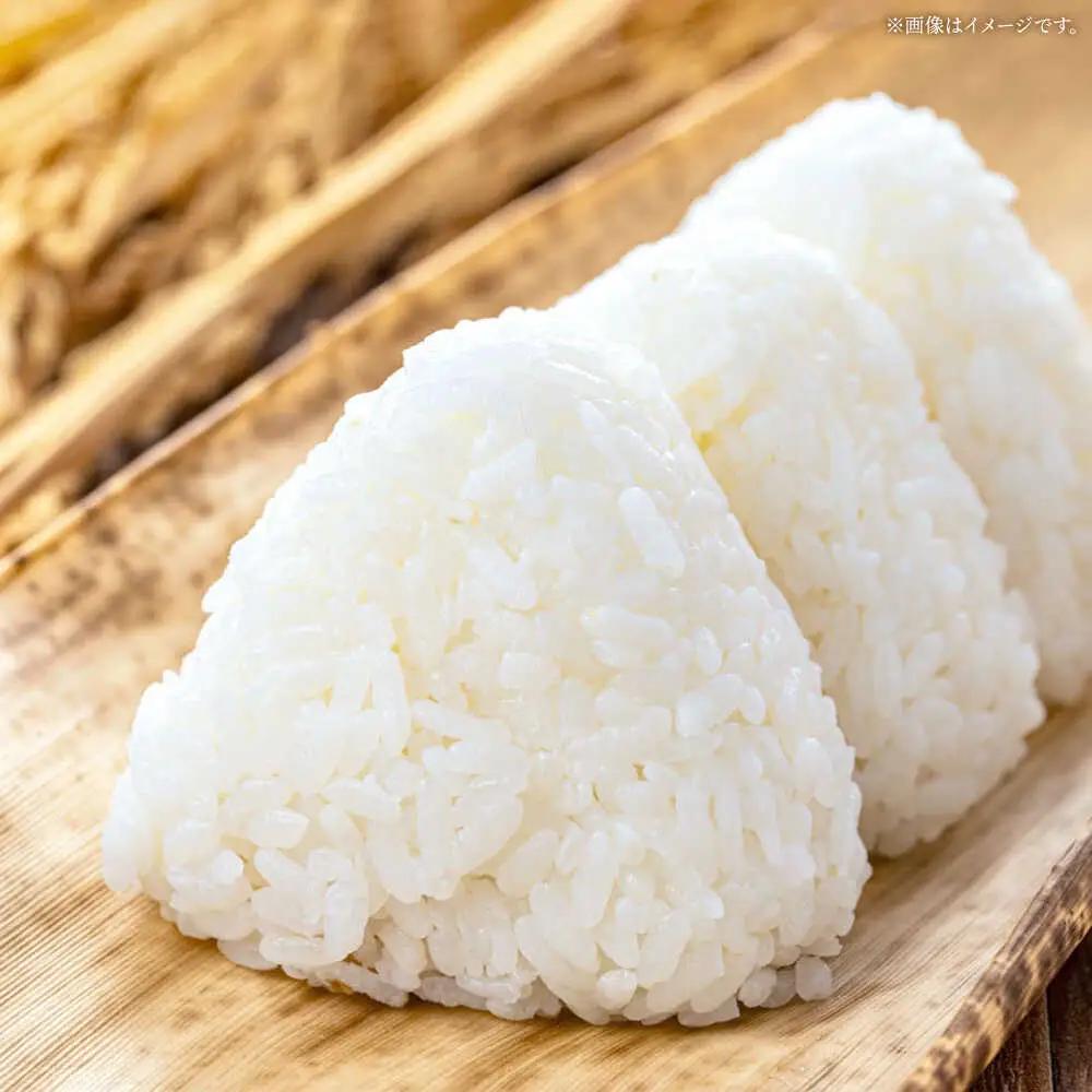 令和7年産 コシヒカリ 5kg 白川町 / 白川町農業開発[AWAH030]コシヒカリ