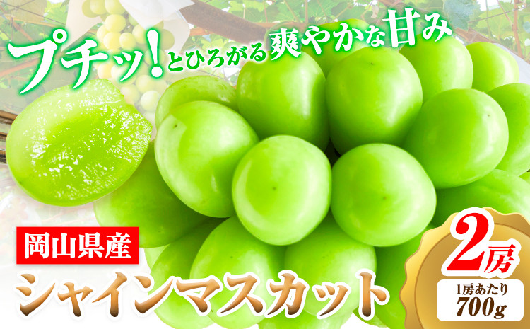 
                  【2026年先行予約】シャインマスカット 岡山県産 2房 (1房当たり700g 前後)《2026年9月上旬-9月中旬頃出荷》ひらた農園 マスカット 送料無料 岡山県 浅口市 シャインマスカット ぶどう フルーツ 果物 贈り物 ギフト 国産 くだもの 果物 青果物
                