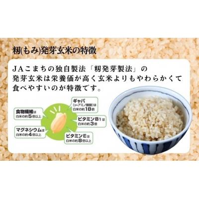 ふるさと納税 羽後町 あきたこまち 籾発芽玄米 真空キューブ米 300g×10個 合計3kg [No.5325-0258] |  | 03