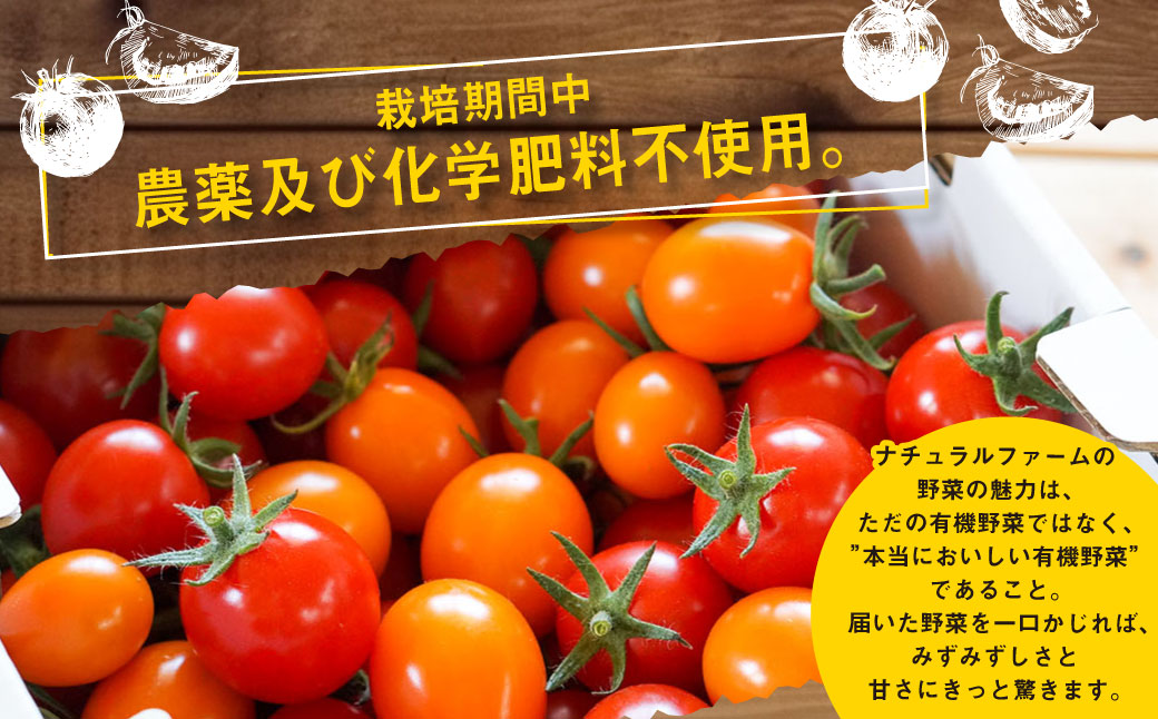 有機JAS認定「きたいろトマト」1.2kg×3箱 （3.6kg）【2026年7月下旬～9月下旬迄発送予定】 トマト とまと 食べ頃 野菜 やさい 有機 北海道