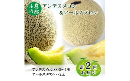 【2026年産 先行予約】食の都庄内 ジューシー！メロン2回定期便※2026年7月上旬頃より発送開始予定