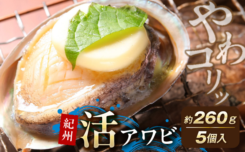 YG1002_やわコリ食感紀州活アワビ【5個入】 約260g