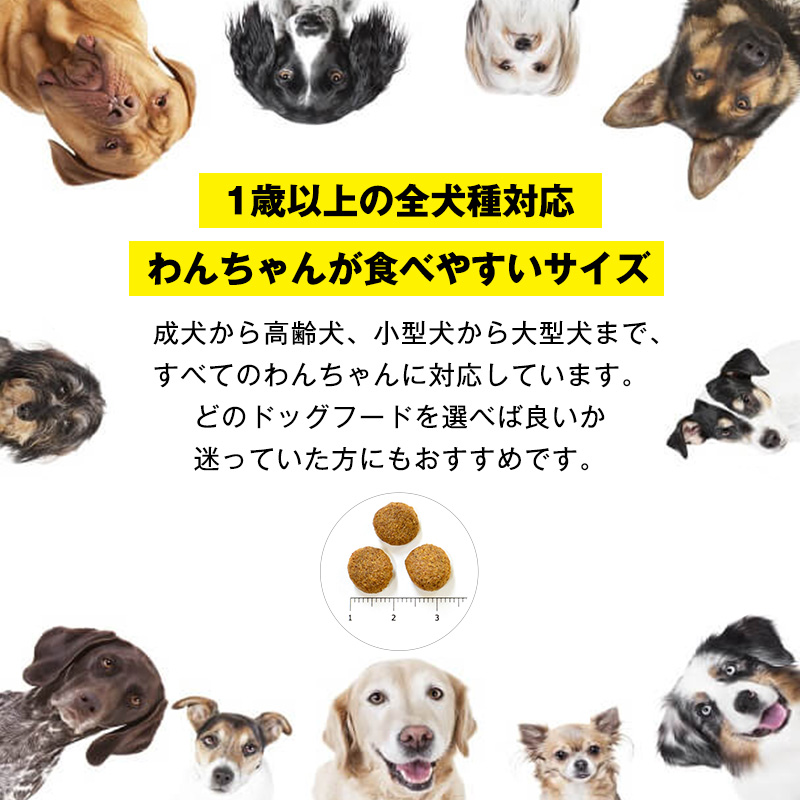 ドッグフード INUMESHI バリュー 15kg ブリーダーパック 成犬 高齢 1歳以上 小型犬 中型犬 大型犬 ドライフード 大容量 大容量パック 犬用ごはん 犬用ご飯 ペットフード ペット用品 