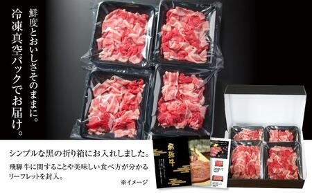 【ふるなび限定】牛肉 訳あり 飛騨牛 切り落とし 600g 牛肉 MZ012 切り落とし FN-Limited-PR