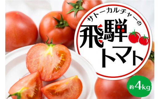 
                  《令和8年産先行予約》飛騨トマト 約4kg（20－28玉）産地直送 野菜 とまと トマト 麗月 夏野菜 やさい サトーカルチャー  syun22
                