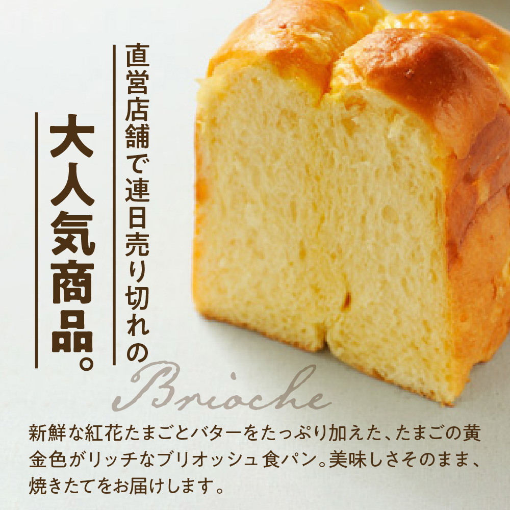 【数量限定】 ウフウフガーデン ブリオッシュ 食パン & マーブル 食パン 各1本 ( 1本 1.5斤 ) 計2本 人気 パン 焼きたて 直送 常温 配送 山形県 米沢市