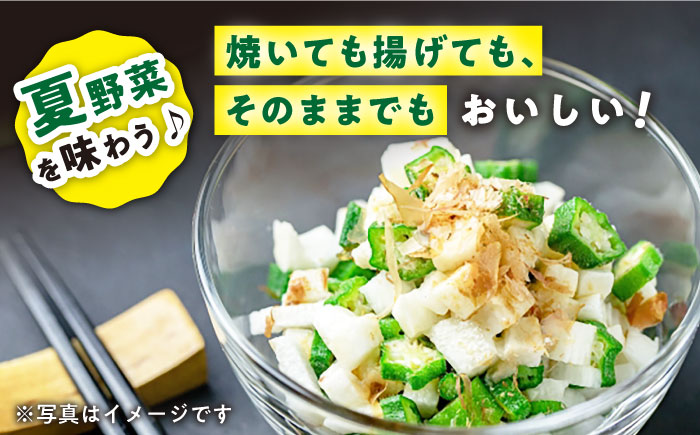 【朝採れ旬野菜】オクラ 約500g ＜パッパラパー農園＞ [CFI007]