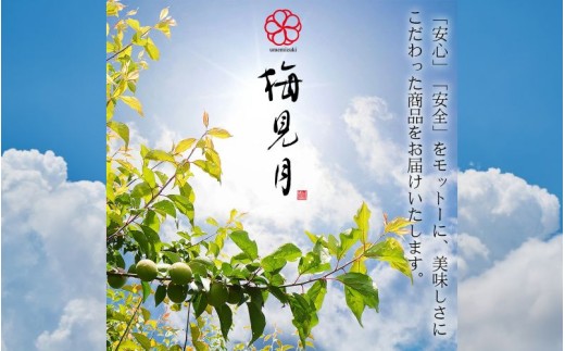 紀州南高梅 はちみつ梅干し 大粒 みつ大玉 塩分8％ 800g  ｜ 和歌山県産 みなべ町 紀州南高梅 梅干し 梅干 うめぼし はちみつ梅 大玉 【mryms001B】